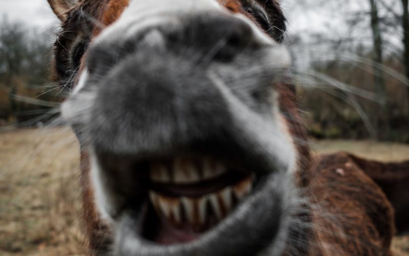 Souriez, vous êtes forcés!