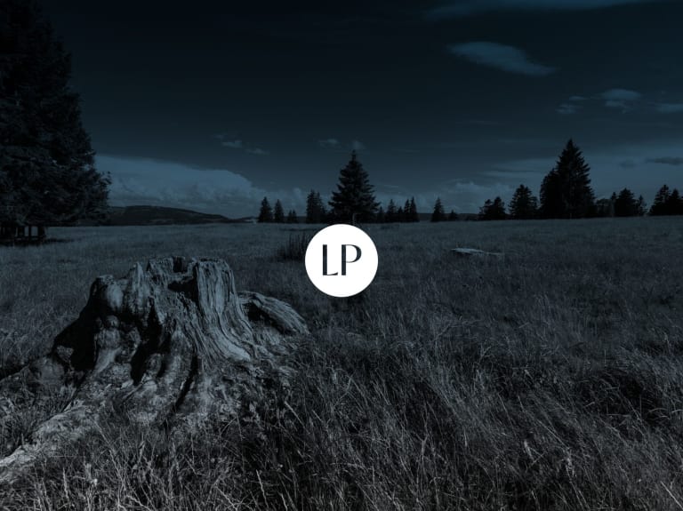 Pourquoi nous combattons