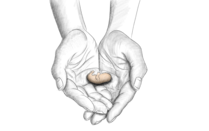 Mater Dolorosa 4/5 – Déni de miséricorde ?