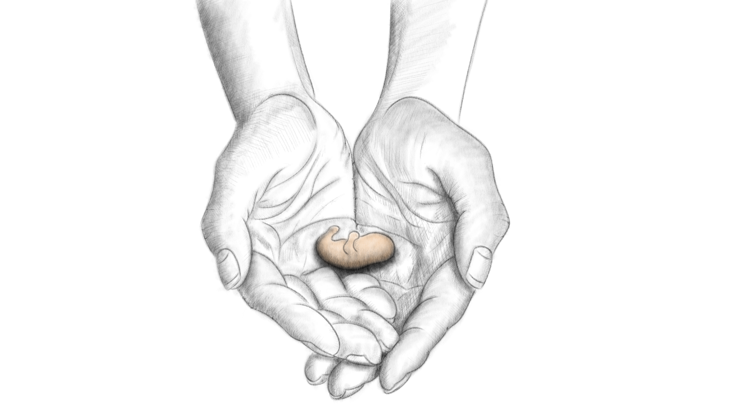 Mater Dolorosa 4/5 – Déni de miséricorde ?