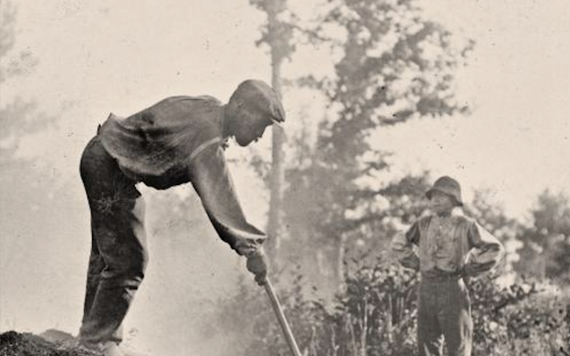 Matlosa, l’étranger