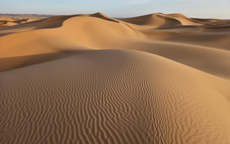 Un voyage en Algérie