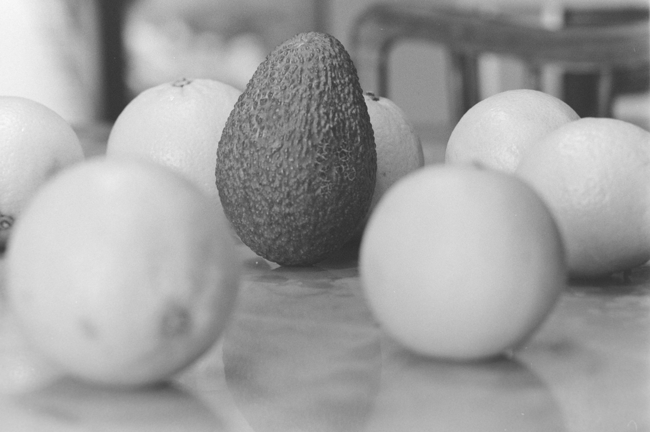 La bonne et la mauvaise diversité