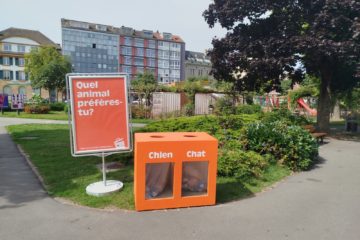 Plutôt débile ou débile ?