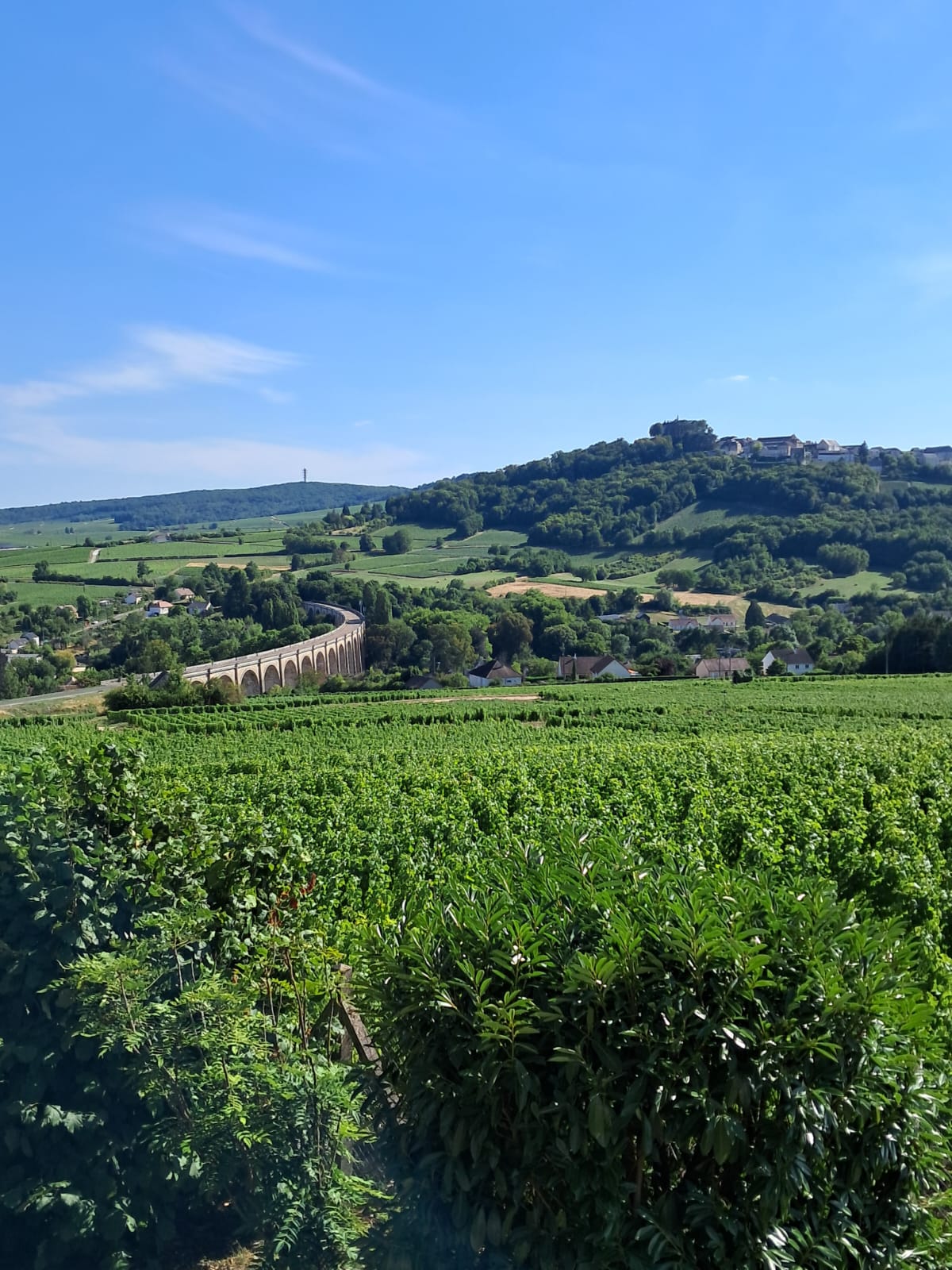 Saint-Satur, petit village, grand renom
