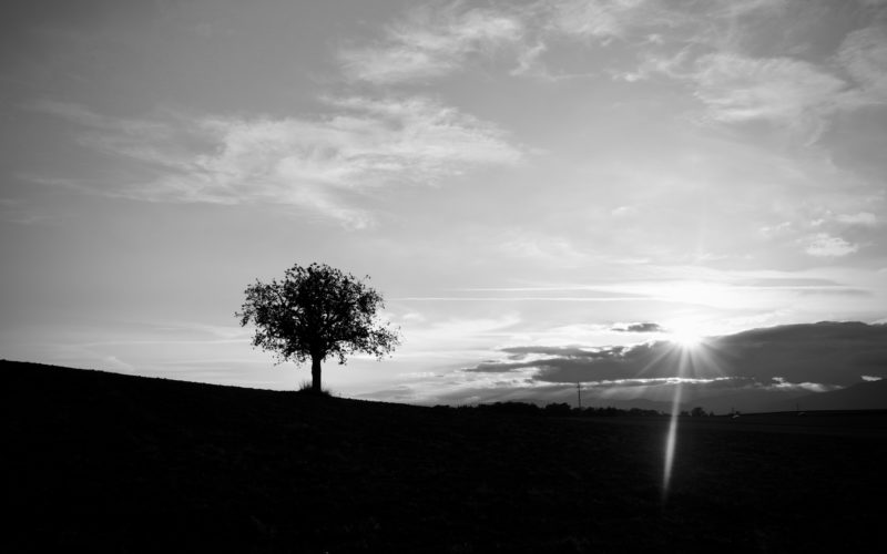 Conservateurs de quoi ?