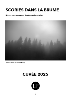 Scories dans la brume – Aphorismes contemporains