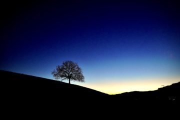 L’absurde et la grâce