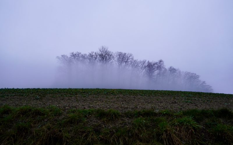 Notes sur le patriotisme communal