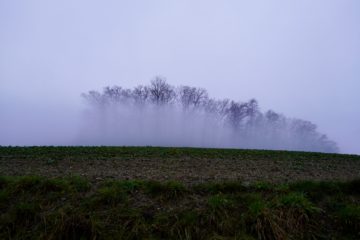 Notes sur le patriotisme communal