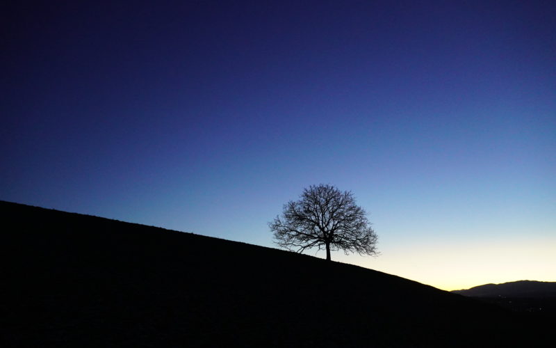 Le conservatisme : une philosophie de la gratitude