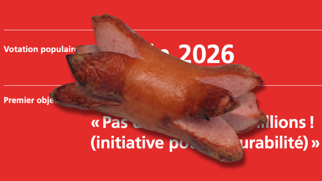 Accueil